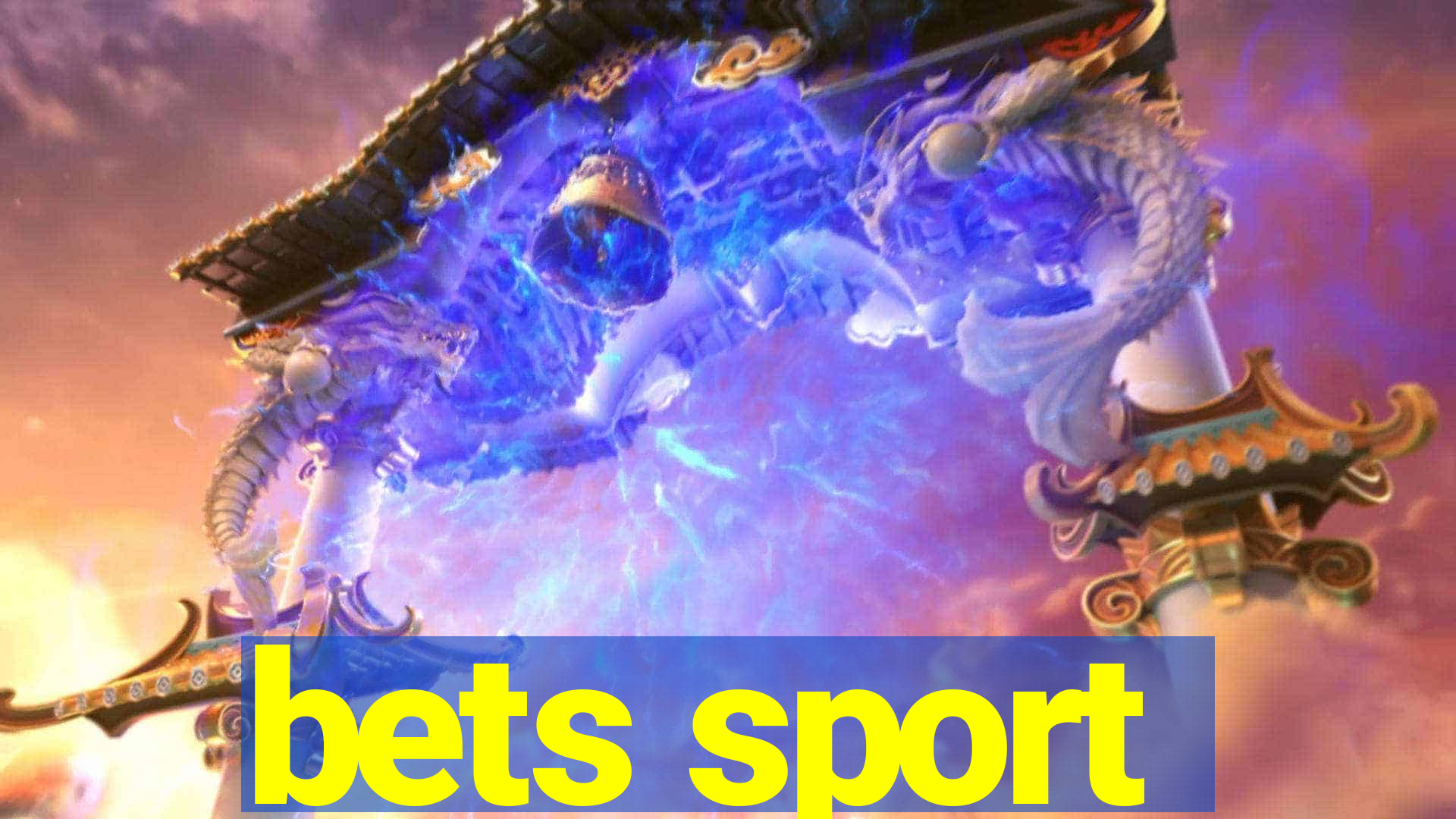 bets sport